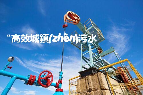“高效城鎮(zhèn)污水處理流程，守護碧水藍天新篇章”